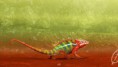 /album/hayvanlar/wallpaper-reptiles-animals-alexfas01-jpg/